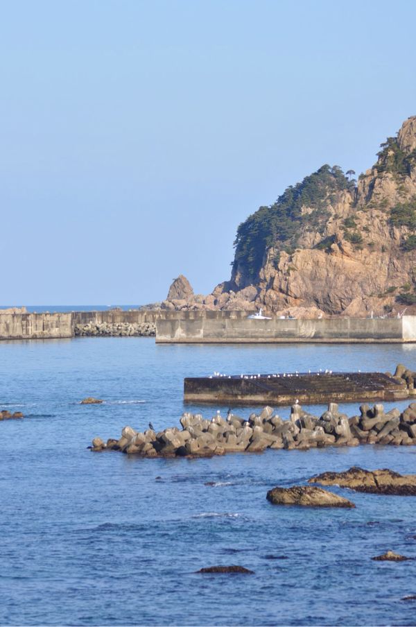 穏やかな日本海